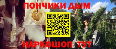индика Будённовск