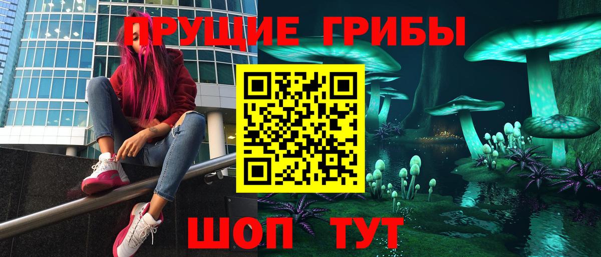 Псилоцибиновые грибы Psilocybe Курчатов