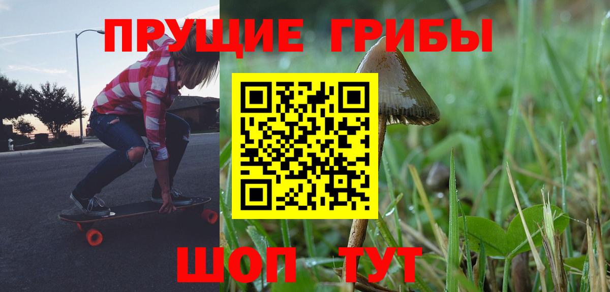 Курчатов  Псилоцибиновые грибы прущие грибы  где купить наркотик  Вход с VPN 